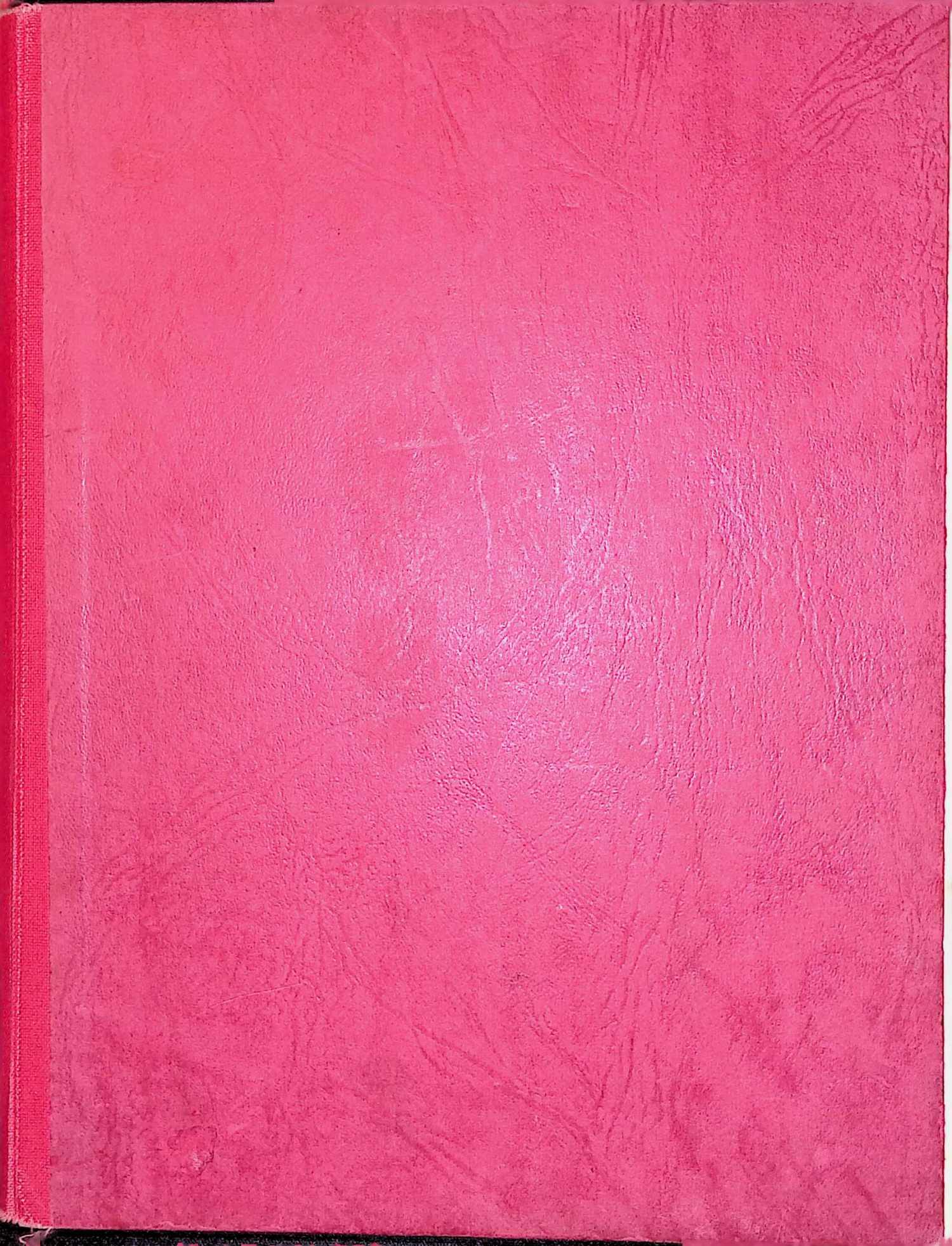 Red leather-look plain book cover scan