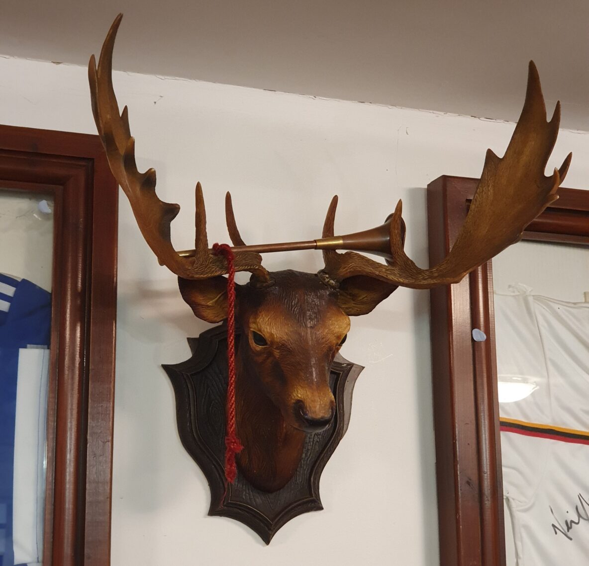 colour photo of a taxidermy stags head mounted on a white wall in between two wooden frames