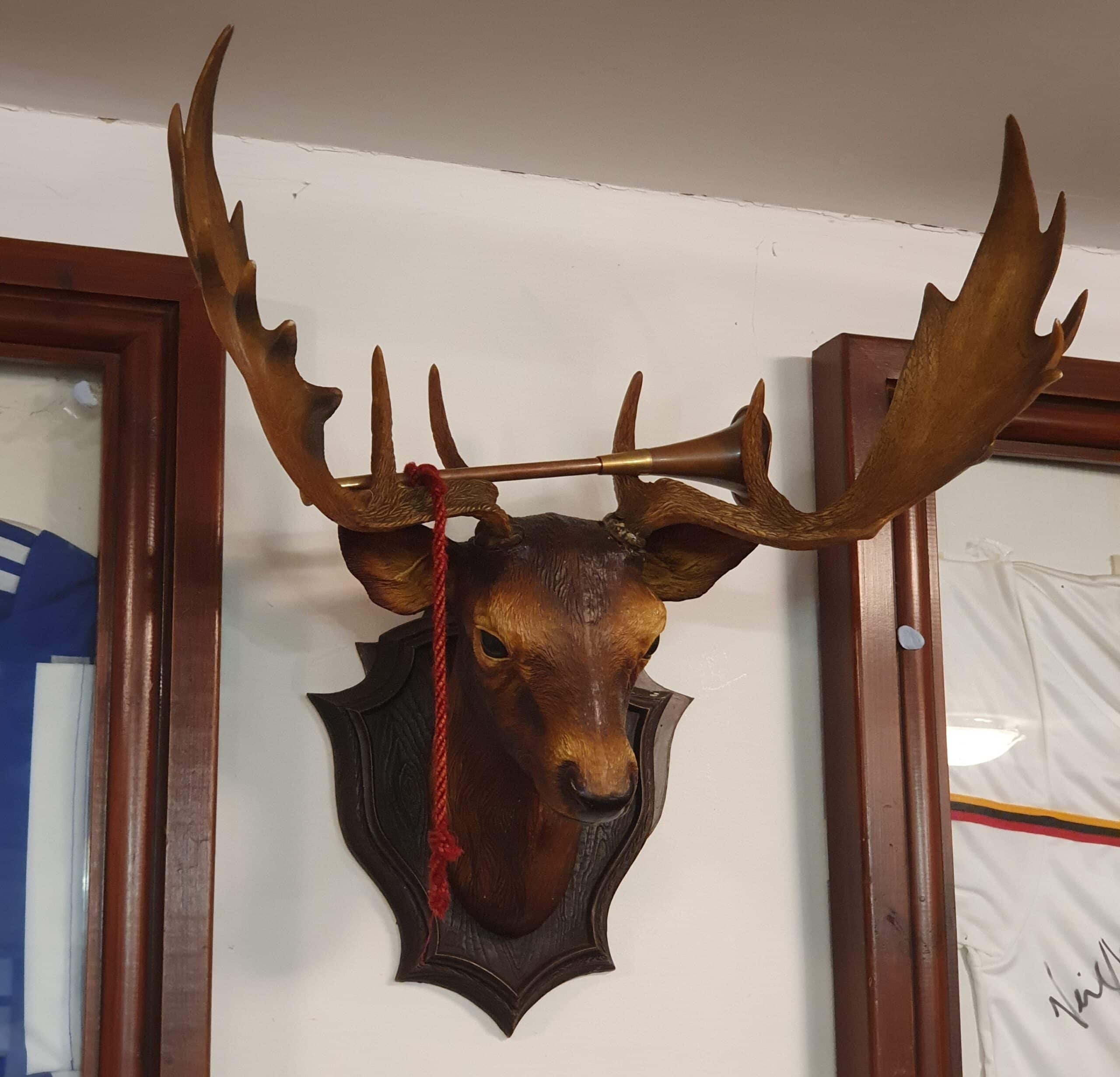 colour photo of a taxidermy stags head mounted on a white wall in between two wooden frames